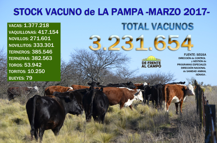 Stock en La Pampa: 3.231.654 vacunos