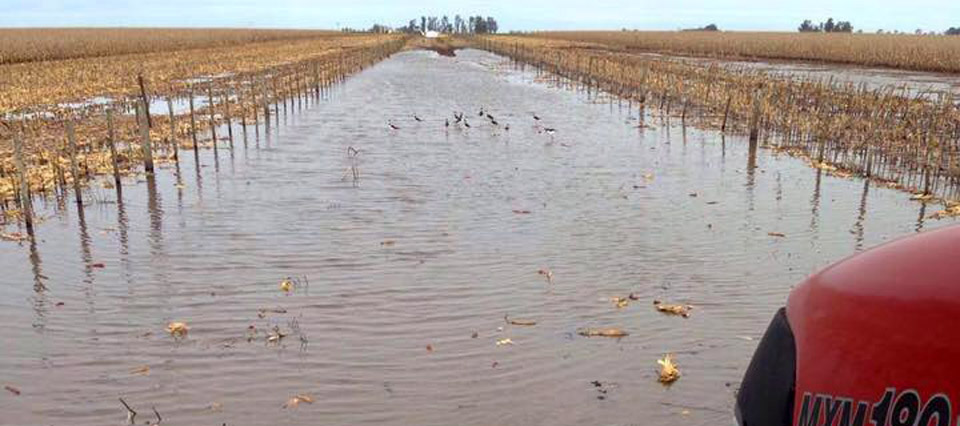 Entre Ríos: viven del campo, pero sacar la producción es una odisea