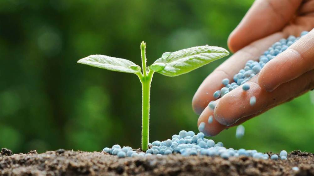 Proyectan un nuevo récord en el consumo de fertilizantes en 2017
