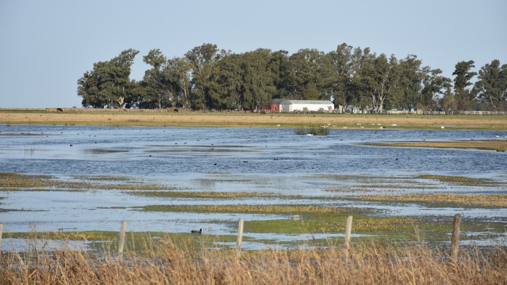 Bajo el agua: inundaciones obligan a corregir a la baja el aporte del campo a la economía