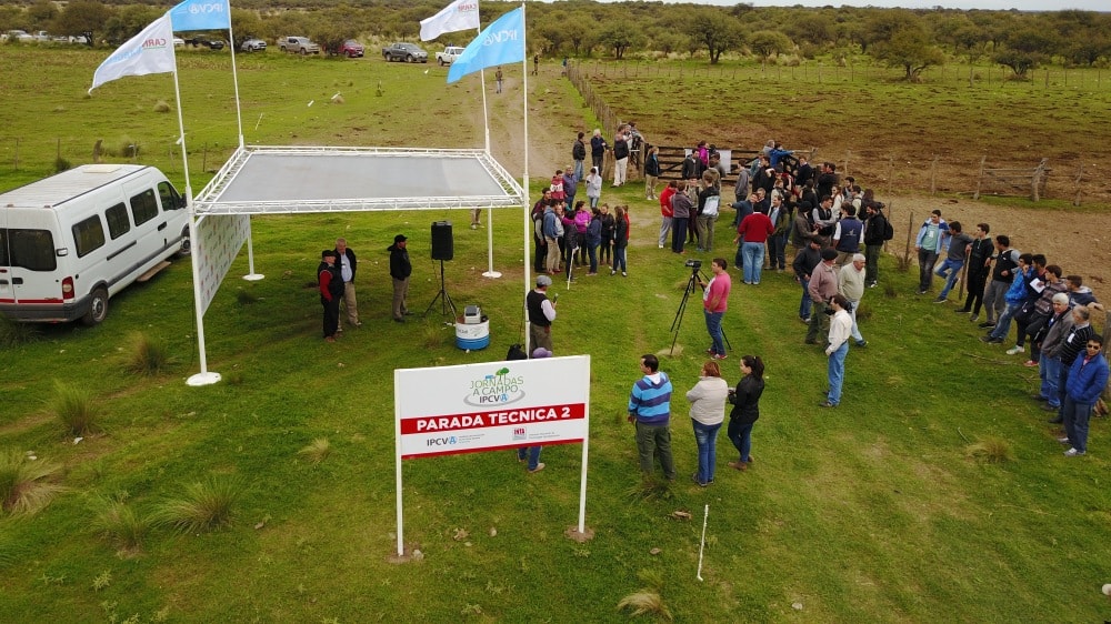 28 De Septiembre: Jornada A Campo Del IPCVA En Embajador Martini, La Pampa