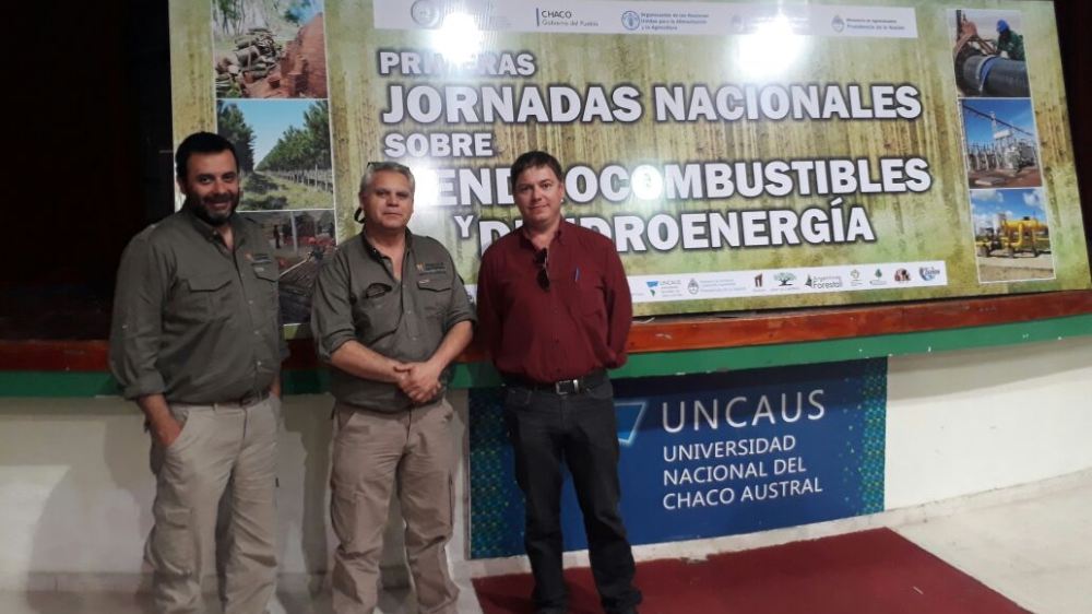 Jornadas sobre Dendrocombustibles y Dendroenergía