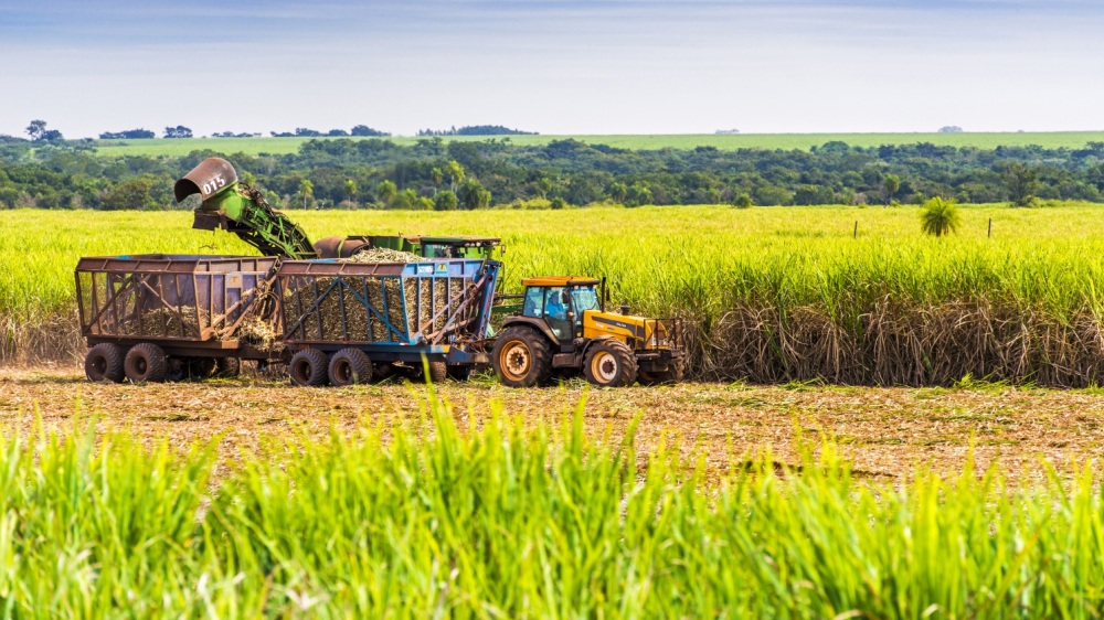 La agroindustria argentina llega al 70% de los países del mundo