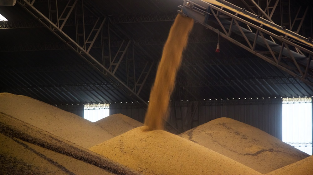 Etchevehere solicitó a Rusia que se levanten restricciones para la compra de harina de soja