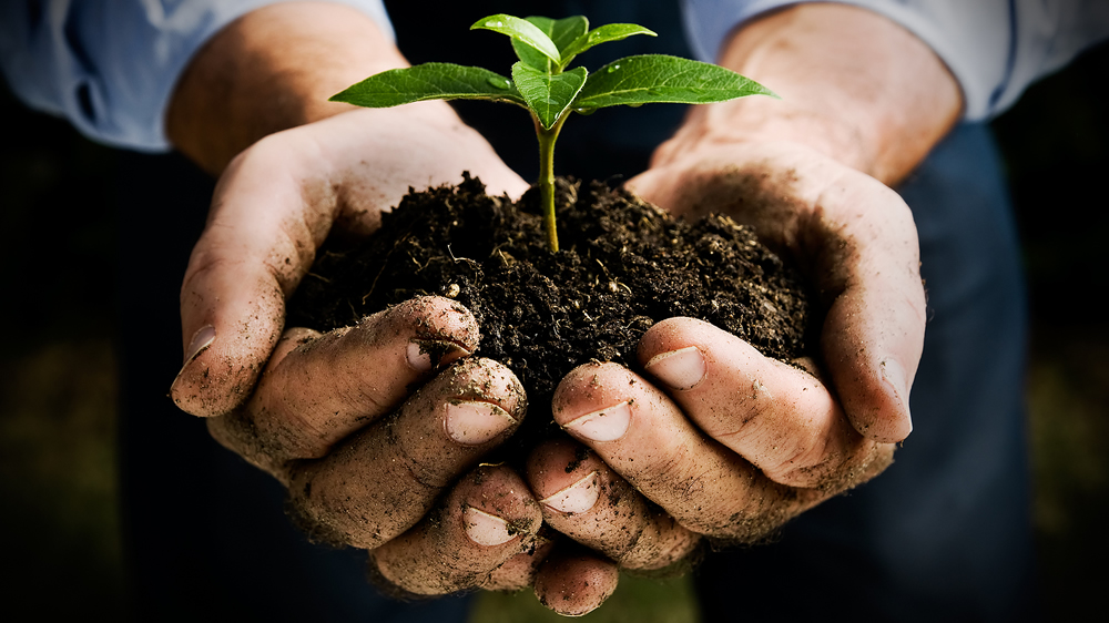 Destacan liderazgo mundial de Argentina en agricultura sustentable