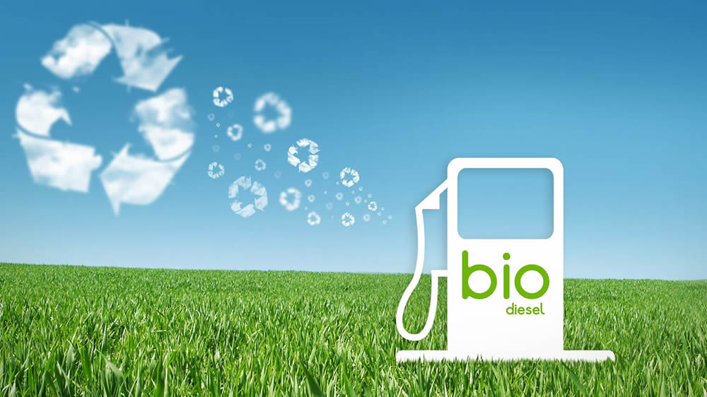 Prevén recuperar el mercado europeo de biodiesel mientras se soluciona el conflicto con EE.UU
