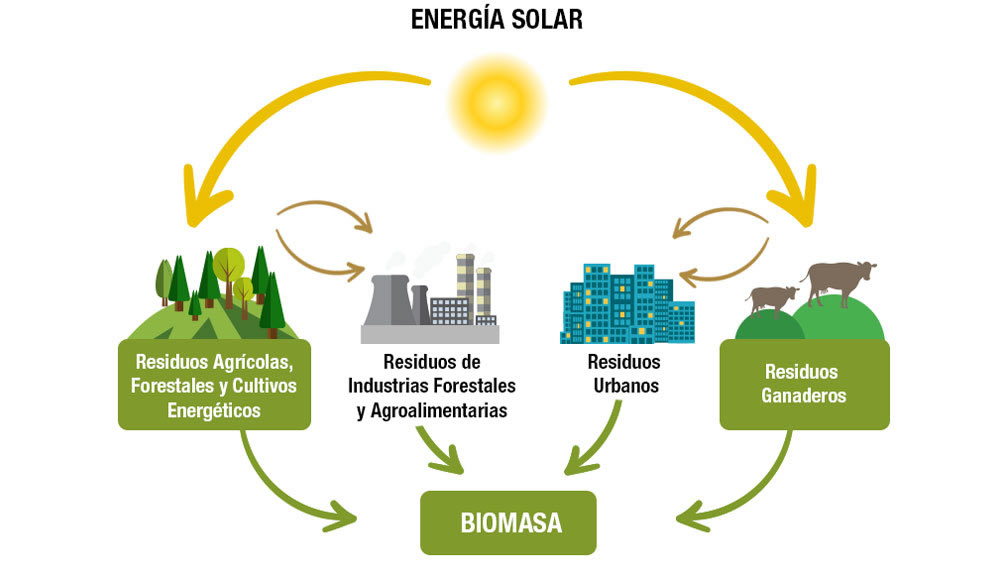 Biomasa: la Nación fomentará su desarrollo para generar energía