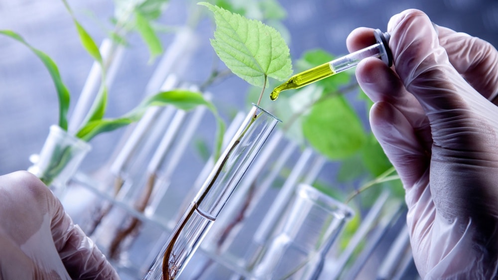 El Gobierno Nacional firmó un Acuerdo Sectorial para la promoción y desarrollo de la Biotecnología