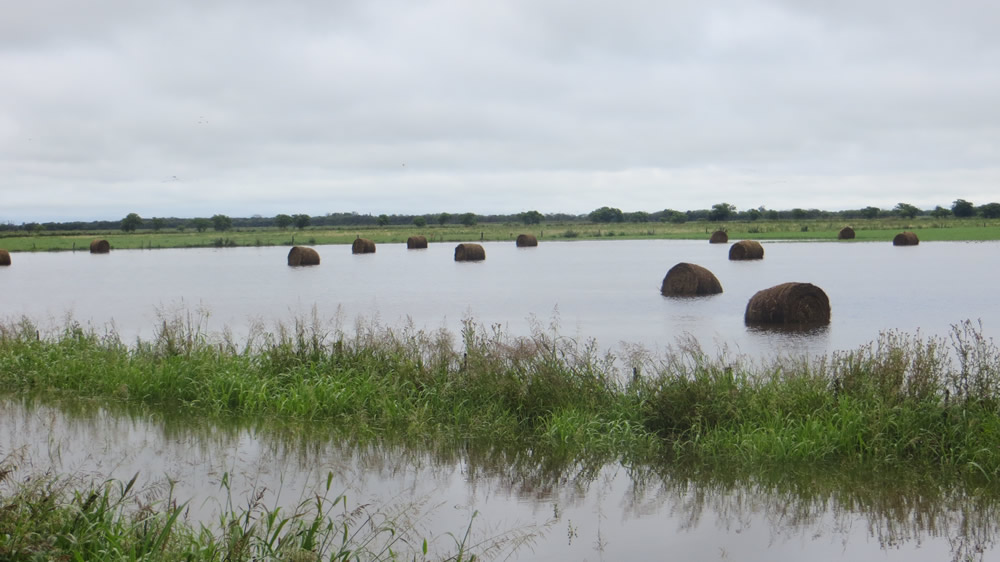 Hay 200 mil hectáreas con agua y 800 mil sin piso en el norte de La Pampa