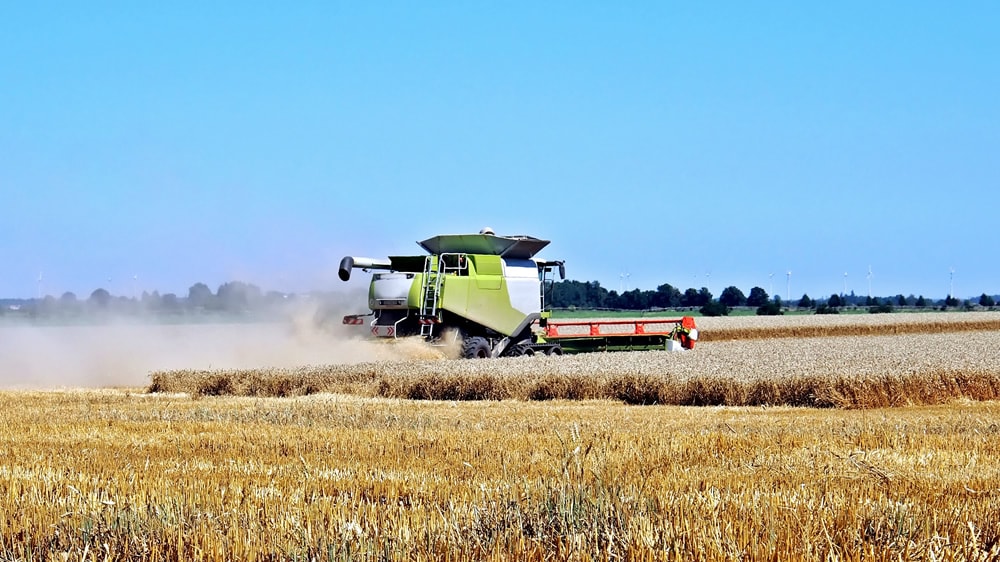 Alquiler de campos: por el clima se fijan a hectárea cosechada