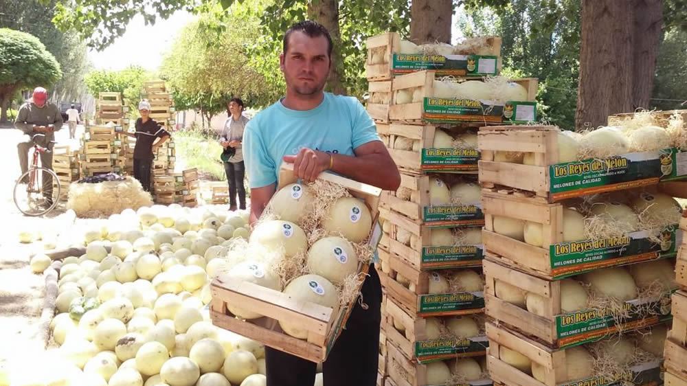 Crecen envíos frutihortícolas de San Juan al Central de Buenos Aires