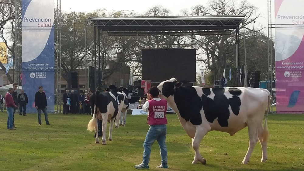 Cuenta regresiva para una muestra llena de atractivos