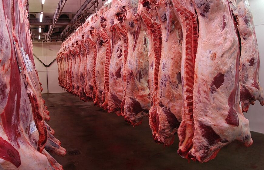 La falacia de aumentar la producción de carne imponiendo un peso mínimo de faena