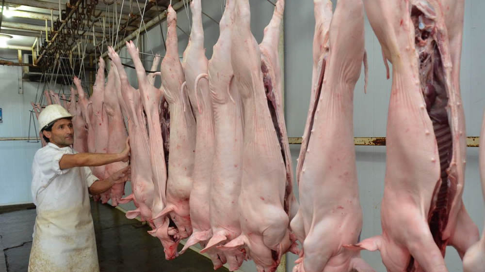 Nuevos negocios de venta de carne de cerdo argentina a China