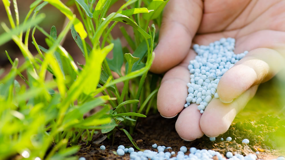 Acuerdo entre BASF y Profertil para lanzar un innovador fertilizante