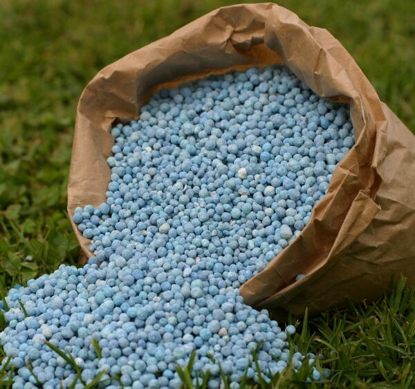 Fertilizantes: se creó el programa anunciado por Massa para asistir a pequeños productores de maíz y trigo
