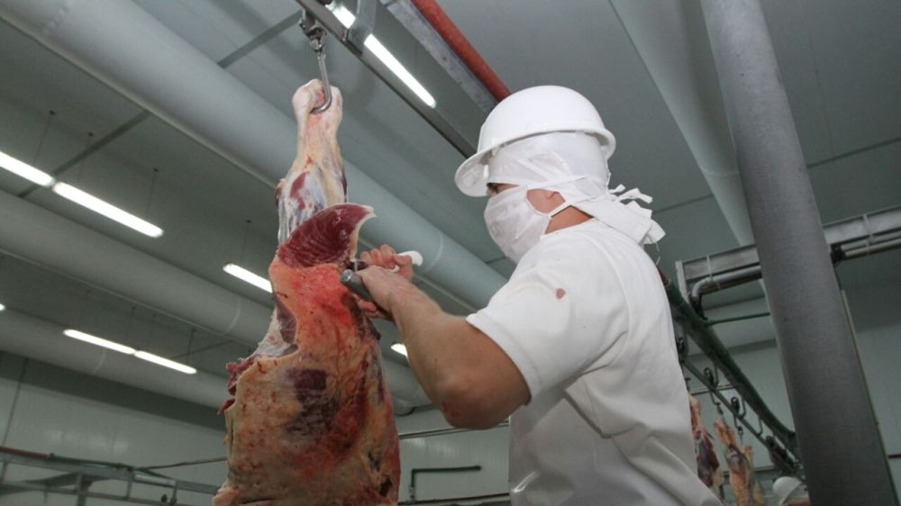 EE.UU. quiere negociar la exportación de carne porcina y más control en semillas