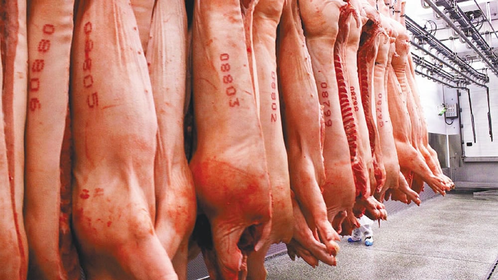Comienzan las gestiones en China para la apertura del mercado de carne de cerdo argentina