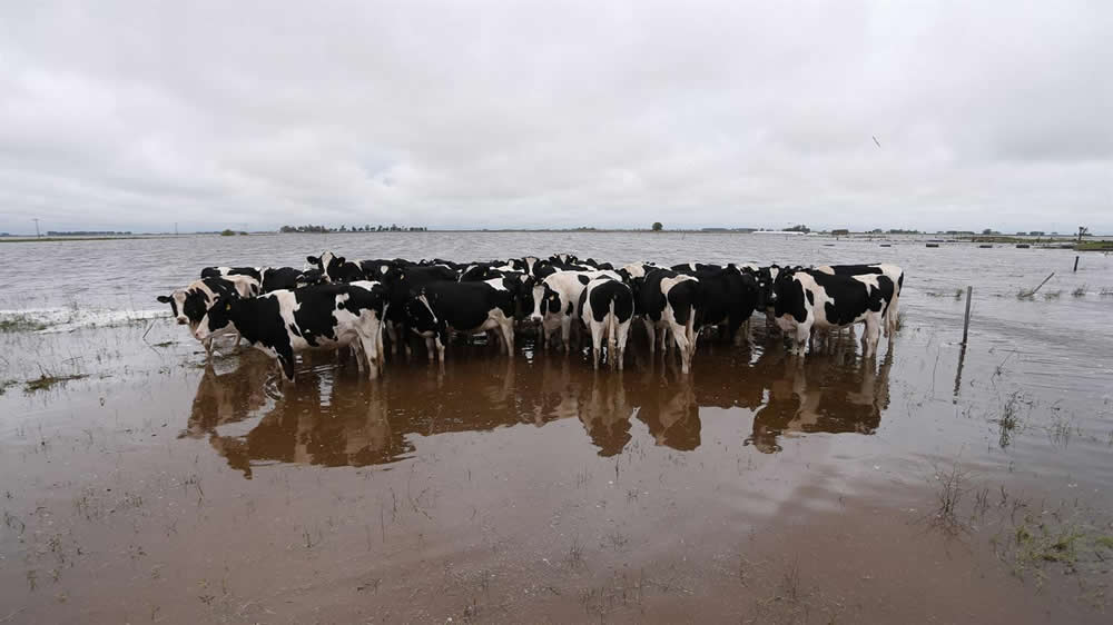 Afirman que hay unas 10 millones de hectáreas afectadas por las inundaciones en Buenos Aires y La Pampa