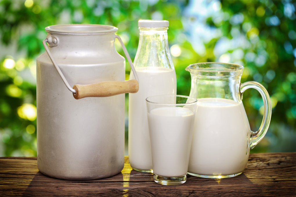 En La Pampa ofrecerán leche con un precio social
