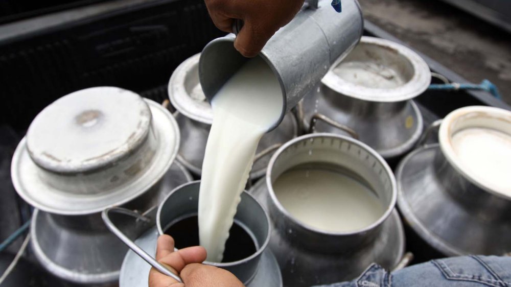 En un año el precio de la leche al productor creció un 34%