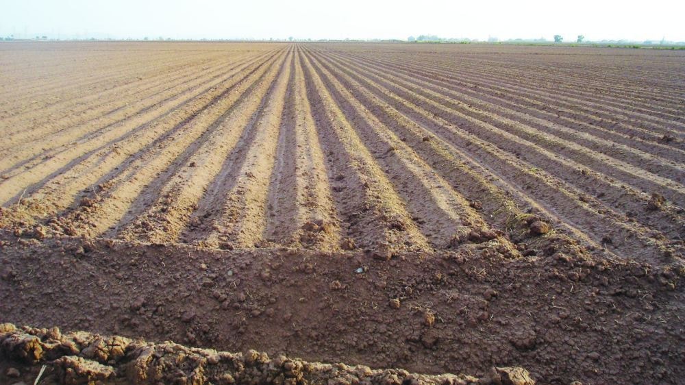 Gran preocupación en el sector de la producción agropecuaria