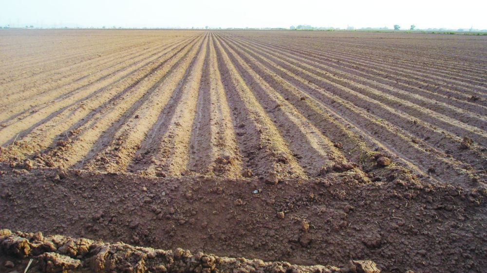 La Afip prorrogó la entrada en vigencia del Registro de Tierras Rurales