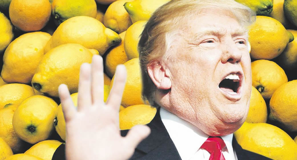 Estados Unidos autorizó ingreso de limones a cambio de importar carne de cerdo