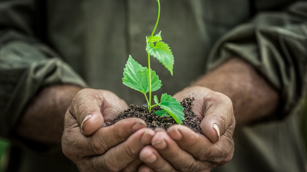 “La agroecología es clave para evitar el uso de agroquímicos en los periurbanos”