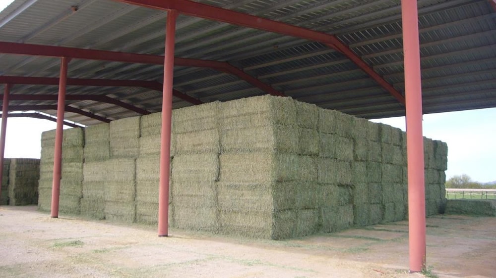 Empresa piquense exportó 200 toneladas de alfalfa a Bolivia