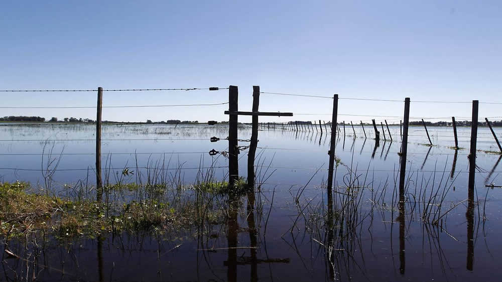 Declararon la emergencia agropecuaria en Buenos Aires, La Pampa y Chaco