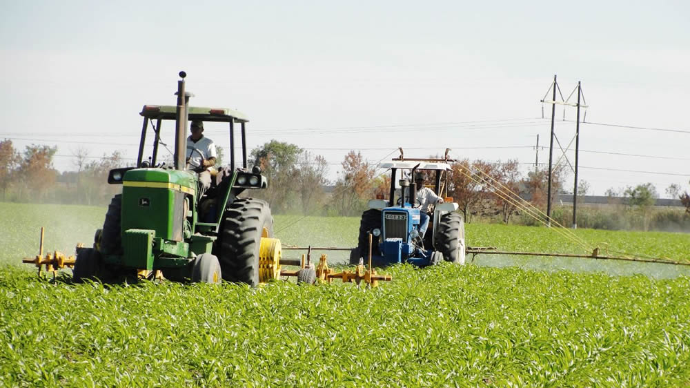 Agroquímicos: buscan prohibir aplicaciones a menos de 1.500 metros de zonas urbanas