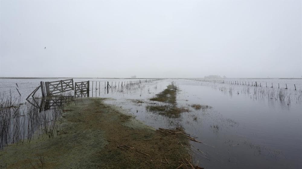 Por el agua, derrumbe en precios de campos