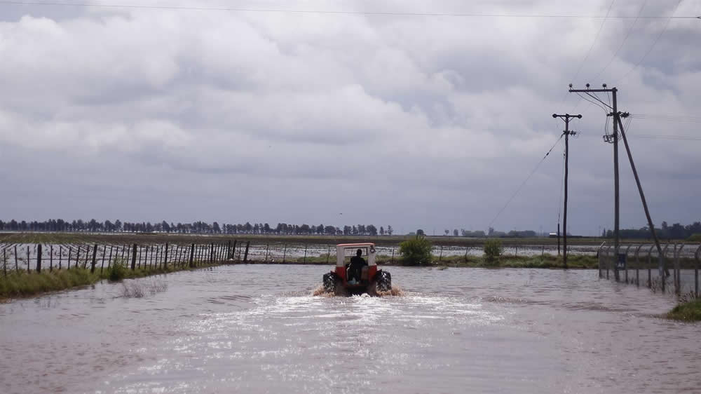 Inundaciones: pérdidas directas de pymes del agro superan los u$s 1500 millones