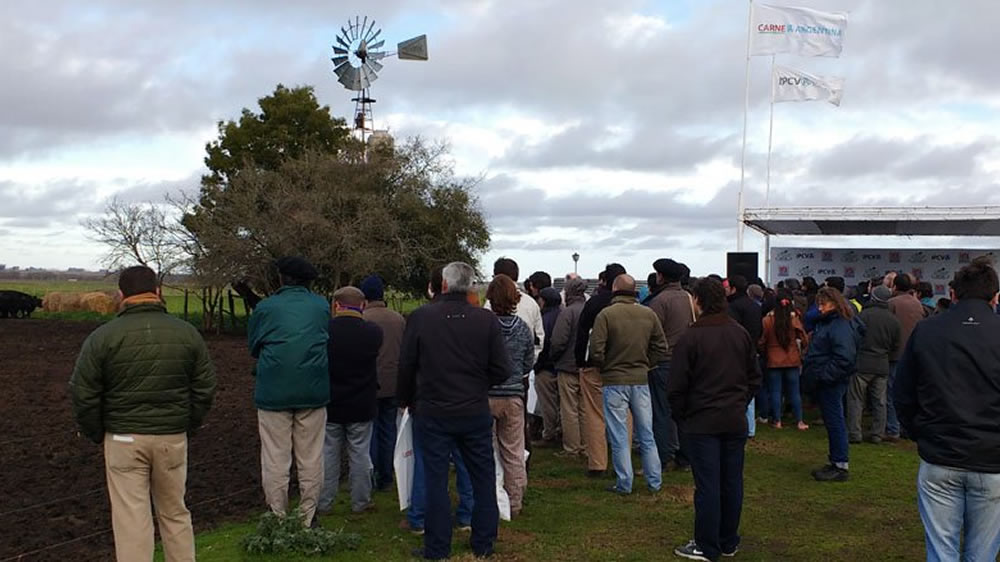 28 de septiembre: Jornada a campo del IPCVA en Embajador Martini, La Pampa