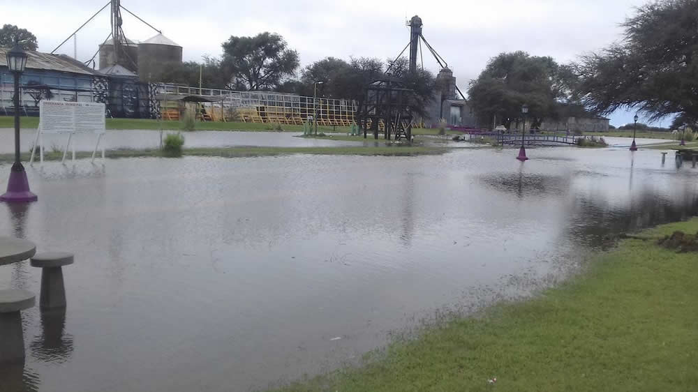 Mirá cómo cosechan en el agua en La Pampa