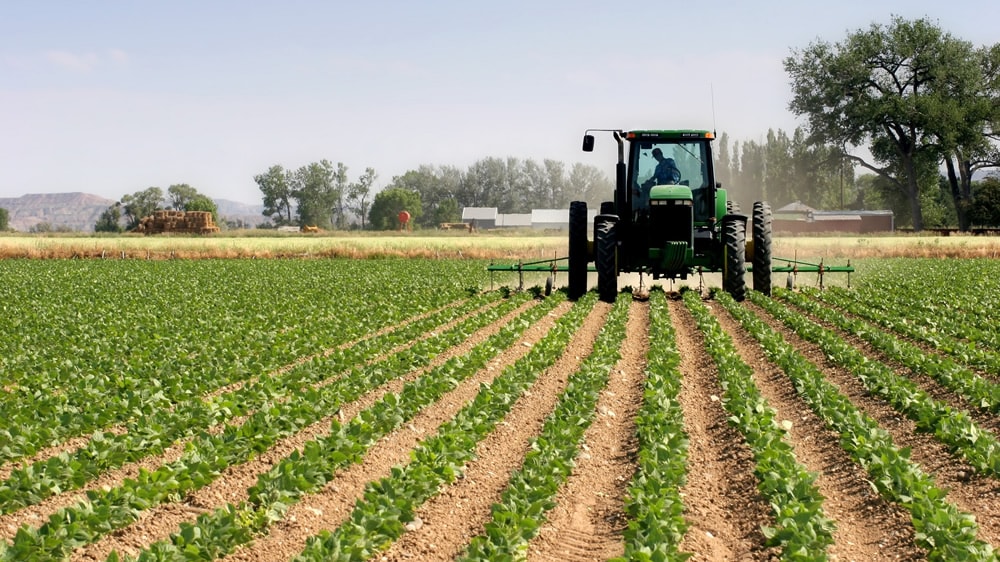 Radiografía del agro: crecimiento de la actividad agrícola y crisis en la industria lechera