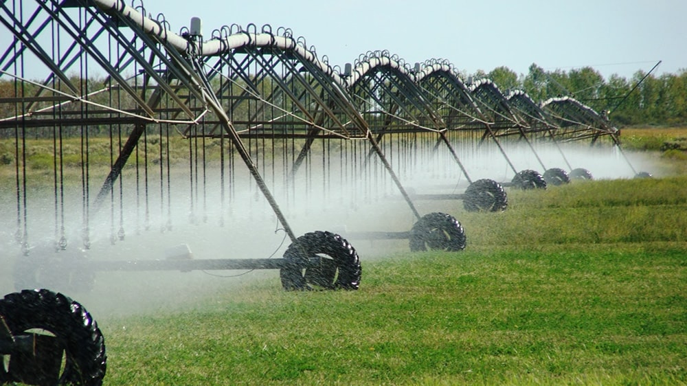 La Pampa apuesta a la producción bajo riego en 25 de Mayo