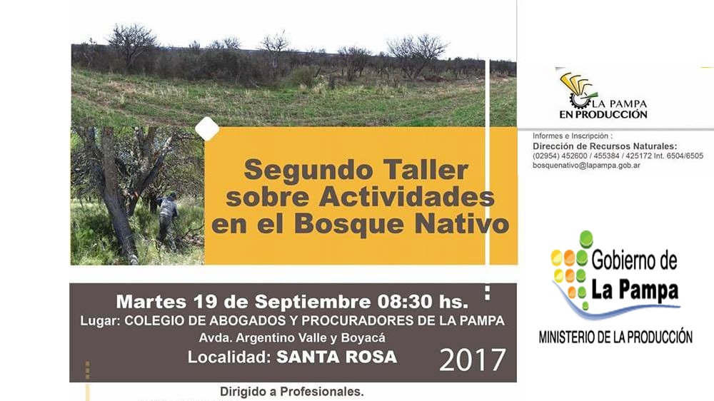 Segundo taller sobre actividades en el bosque nativo