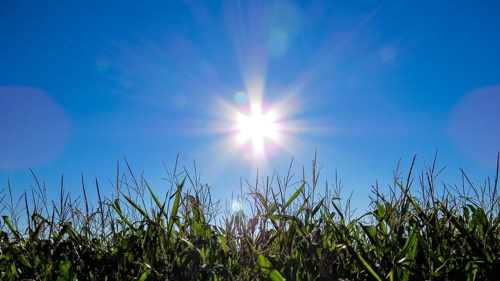 Revelan que este invierno fue el segundo más cálido de la historia del país