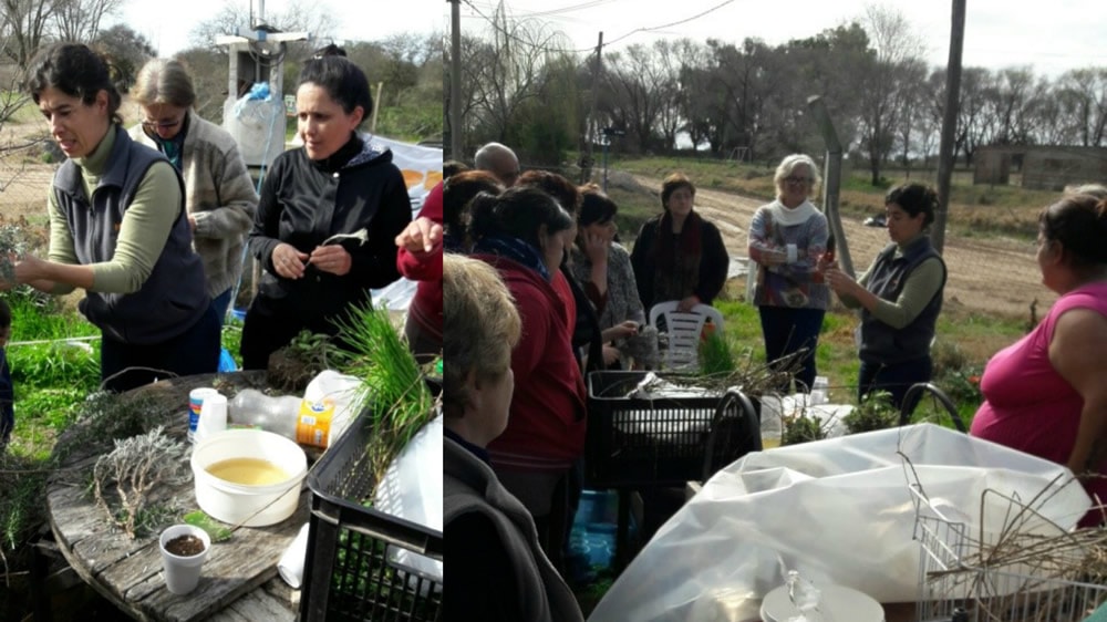 Taller de Plantines en Anguil