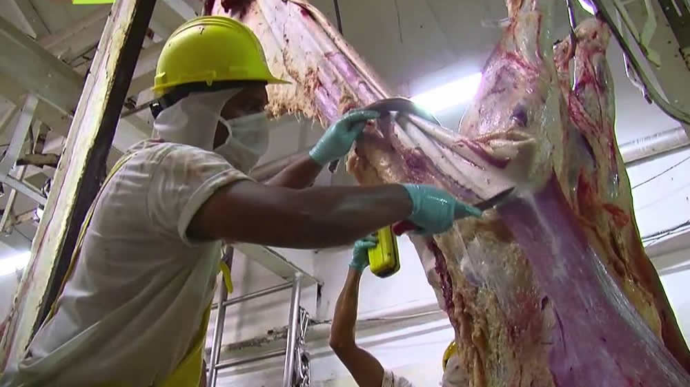 Mato Grosso es el primer productor de carne fresca de Brasil