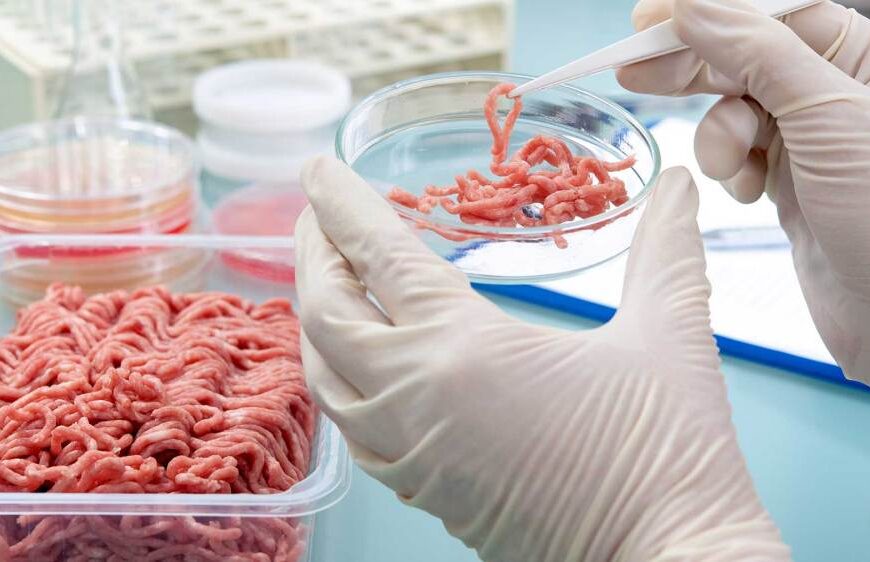 Dos empresas de Estados Unidos ya están habilitadas para vender «carne» cultivada en laboratorio