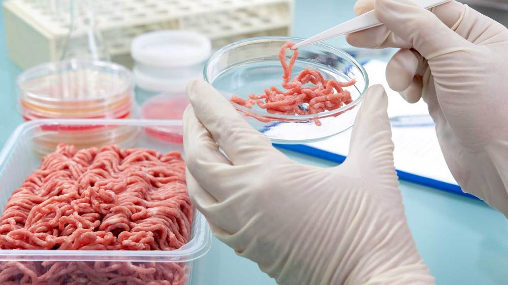 carne cultivada en laboratorios