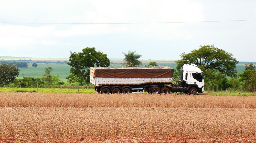 Los fletes representan hasta 21% de los ingresos de los productores