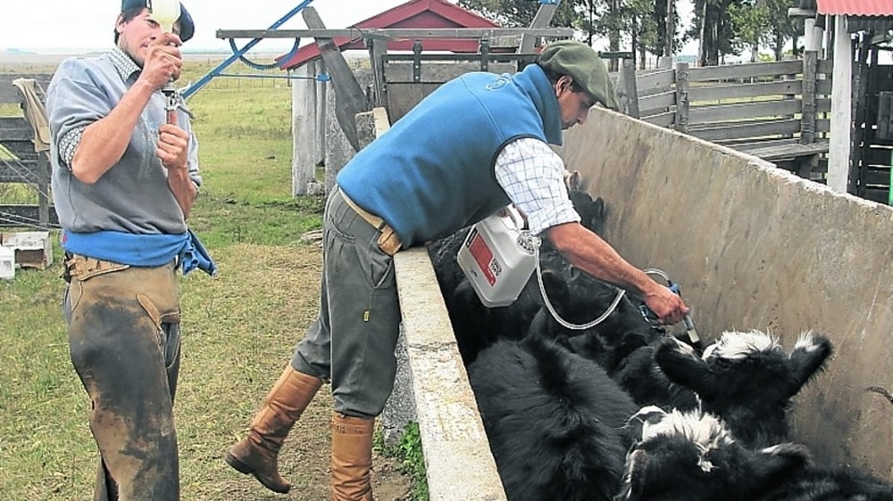 Buenas prácticas en el control de las enfermedades parasitarias y uso racional de los antihelmínticos en rumiantes