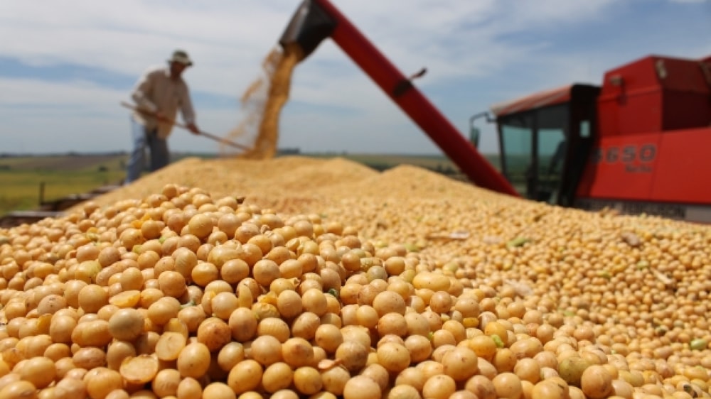 Por la sequía en varias zonas agrícolas, podría quedar sin sembrar hasta 120.000 hectáreas con soja