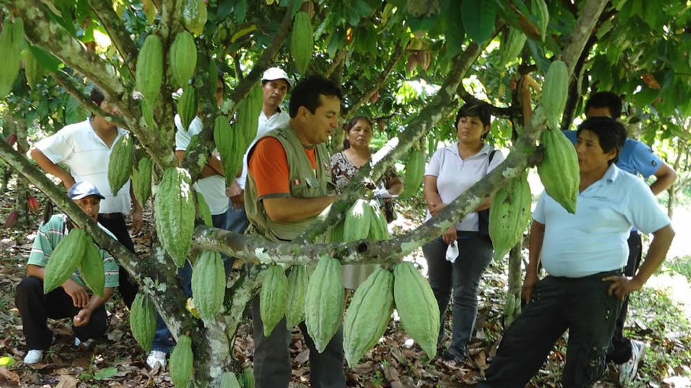 El Indec presentó los lineamientos para llevar adelante el censo agropecuario tras 16 años