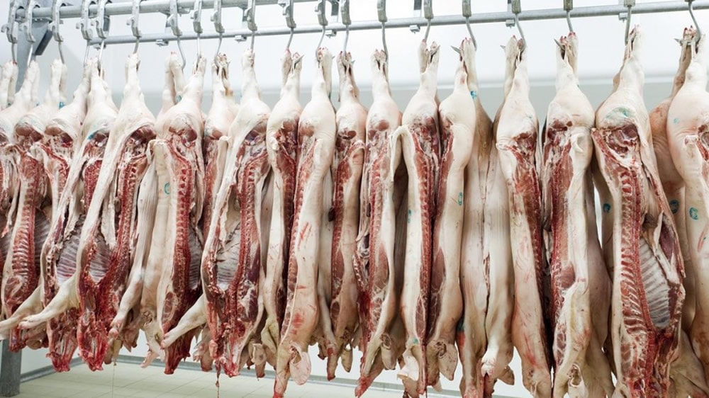 Tres provincias pedirán replantear la importación de carne porcina de EE.UU.