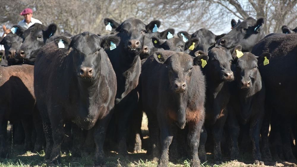 En 2018 habrá datos agropecuarios